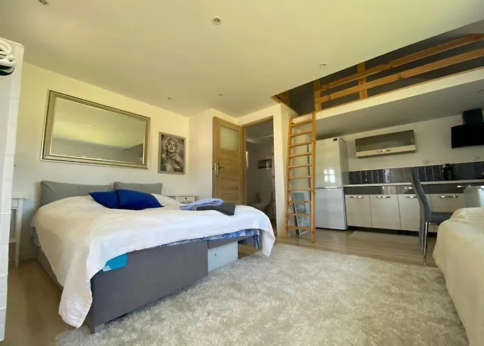 度假居 Darwik Letniskowe