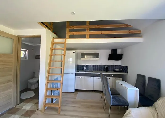 度假居 Darwik Letniskowe *